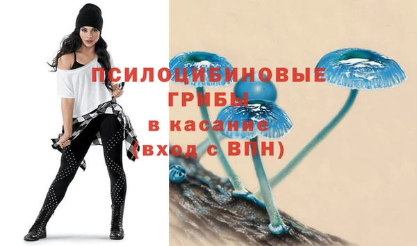 PSILOCYBIN Вязьма