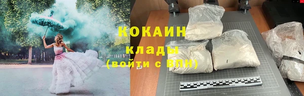 прущие грибы Вязники