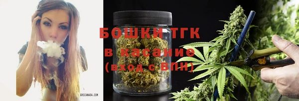 PSILOCYBIN Вязьма