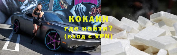 прущие грибы Вязники