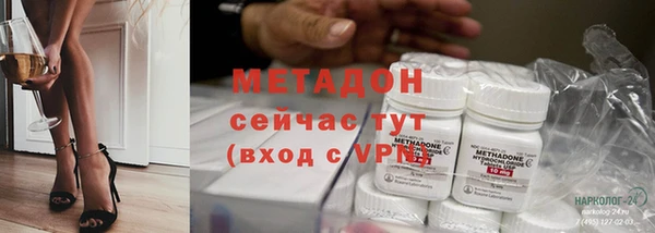 прущие грибы Вязники