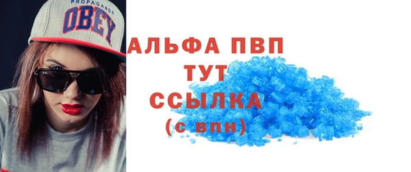 эйфоретик Вяземский