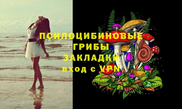 прущие грибы Вязники