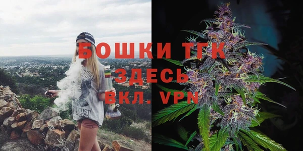 прущие грибы Вязники
