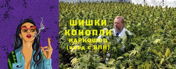 эйфоретик Вяземский