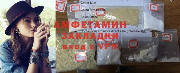 прущие грибы Вязники