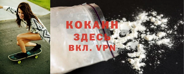 прущие грибы Вязники