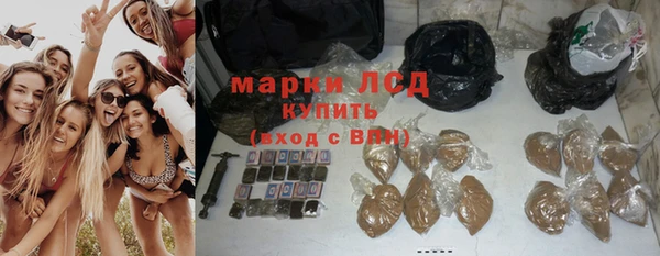 прущие грибы Вязники