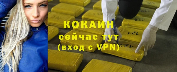 прущие грибы Вязники