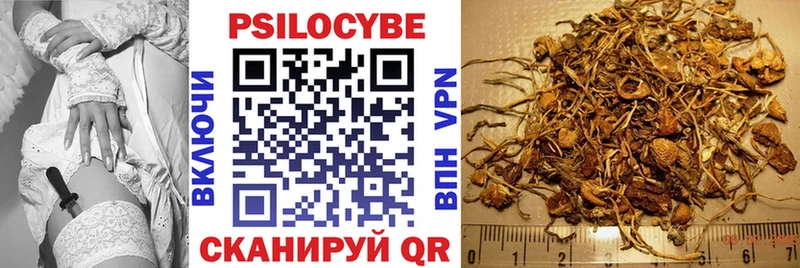 Галлюциногенные грибы MAGIC MUSHROOMS  Островной 
